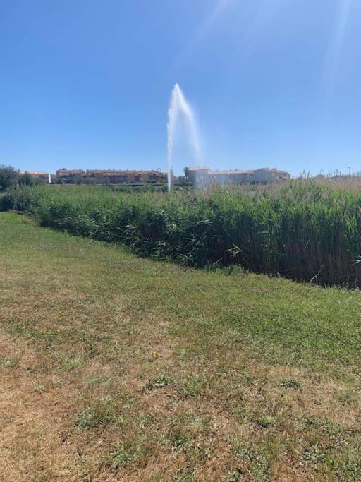 Appartement Le Florid Cap D'Agde, T2 , 4 Pers, 200M Plage, Terrasse Zewnętrze zdjęcie